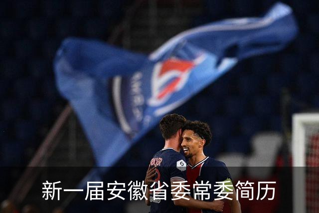 新一届安徽省委常委简历
