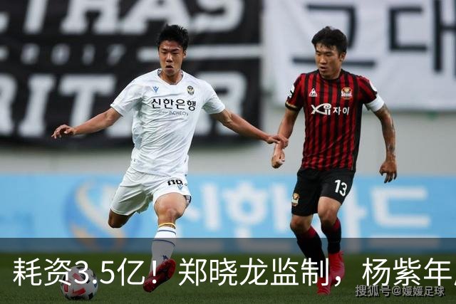 耗资3.5亿！郑晓龙监制，杨紫年度大剧来袭，央视新闻力推，我敢说：剧王无疑了