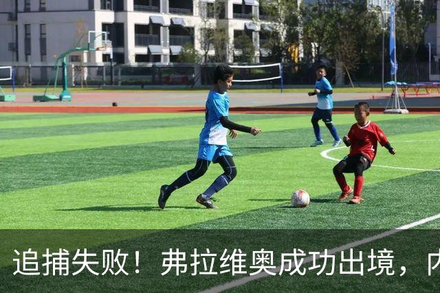 追捕失败！弗拉维奥成功出境，内鬼浮出水面，米莱陷入外交危机