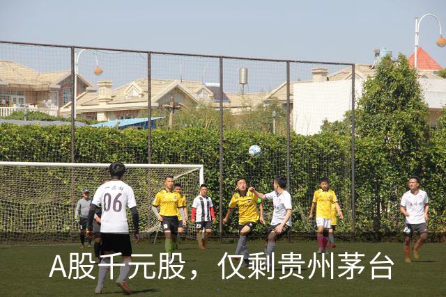 A股千元股，仅剩贵州茅台